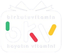 BKV_Logo-2-removebg-preview